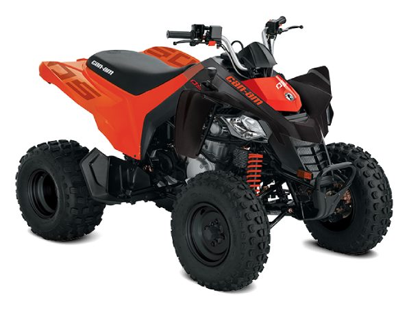 Can-Am DS 250 2026 — купить, цена